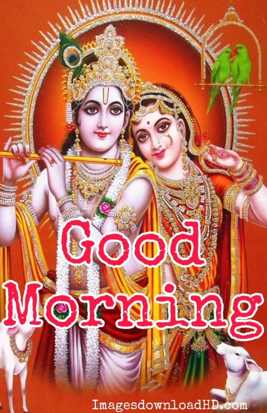 133+ Good Morning Radha Krishna Images 2023 5