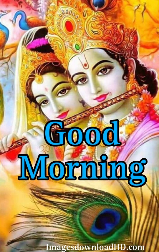 133+ Good Morning Radha Krishna Images 2023 7