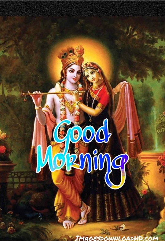 133+ Good Morning Radha Krishna Images 2023 8