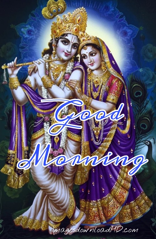 133+ Good Morning Radha Krishna Images 2023 15