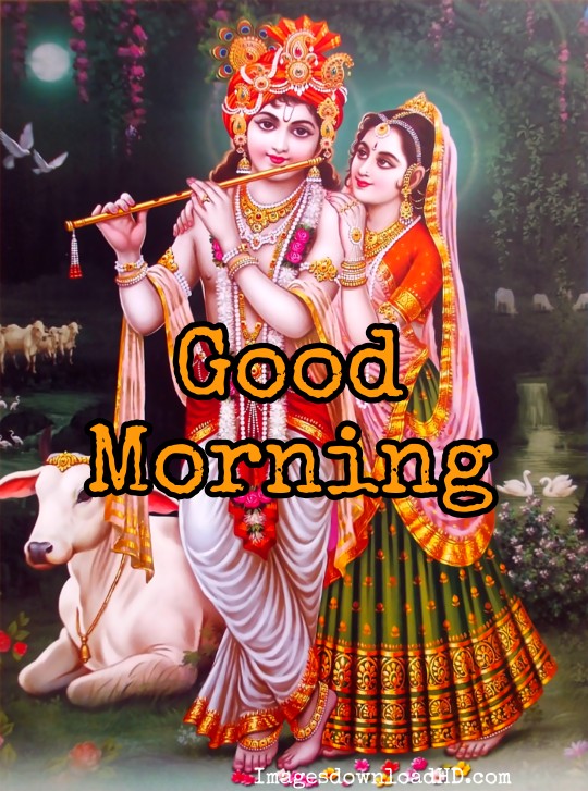 133+ Good Morning Radha Krishna Images 2023 21
