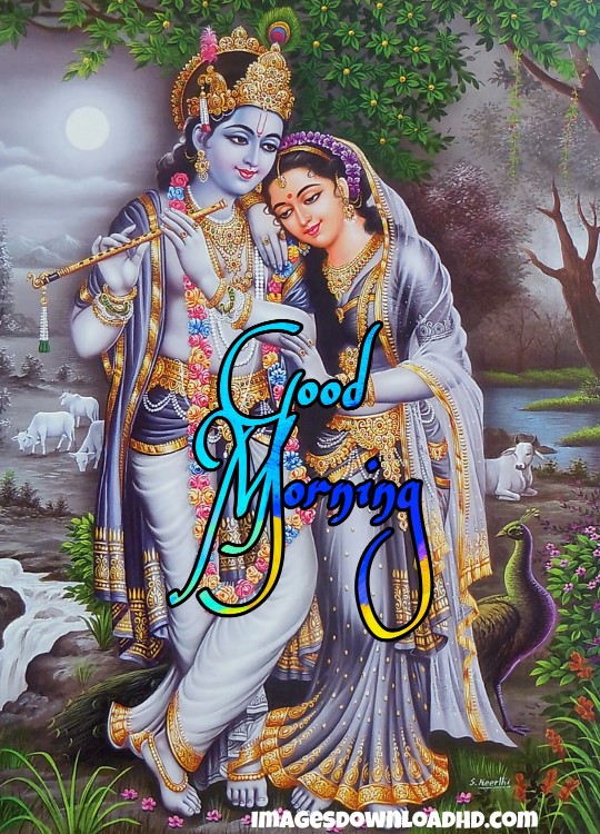 133+ Good Morning Radha Krishna Images 2023 20 Good Morning Radha Krishna Images