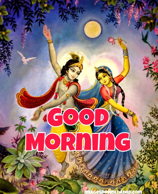 133+ Good Morning Radha Krishna Images 2024 2