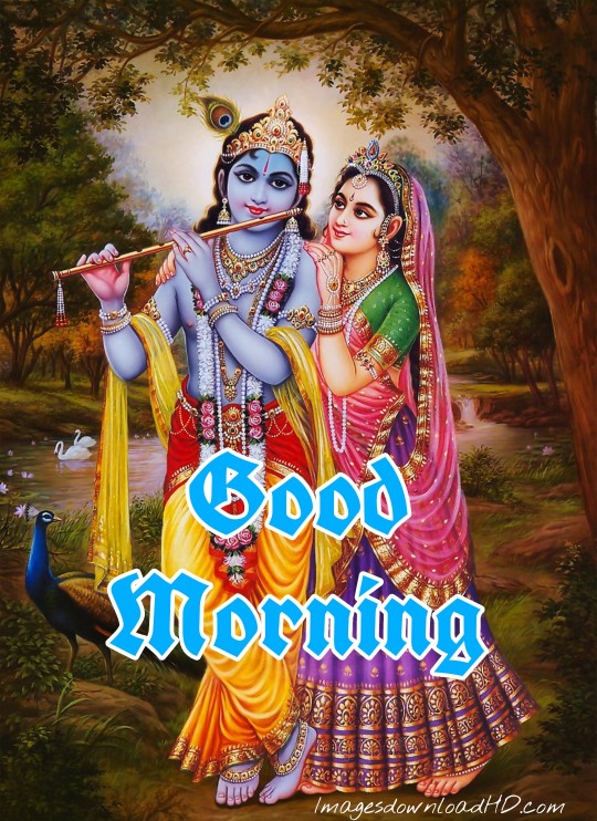 133+ Good Morning Radha Krishna Images 2023 29 133+ Good Morning Radha Krishna Images 2023 26