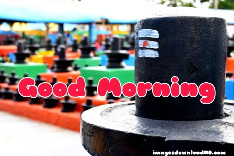 300+ Good Morning Shiva Images 2023 20 300+ Good Morning Shiva Images 2023 18