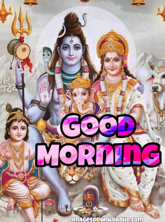 300+ Good Morning Shiva Images 2023 26