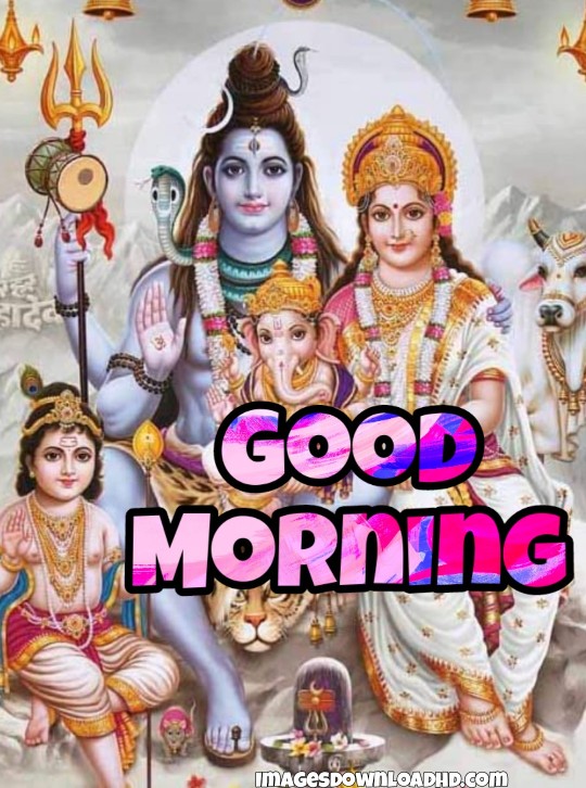 300+ Good Morning Shiva Images 2023 28 300+ Good Morning Shiva Images 2023 26