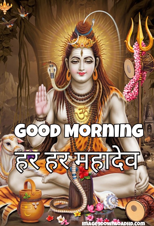 300+ Good Morning Shiva Images 2023 29