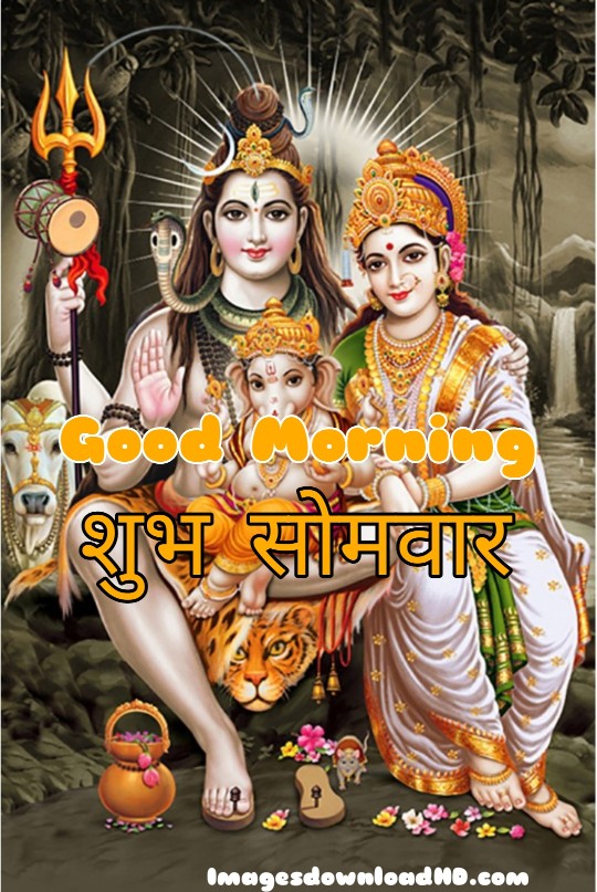 300+ Good Morning Shiva Images 2023 33