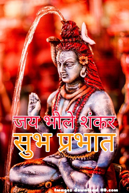 300+ Good Morning Shiva Images 2023 11