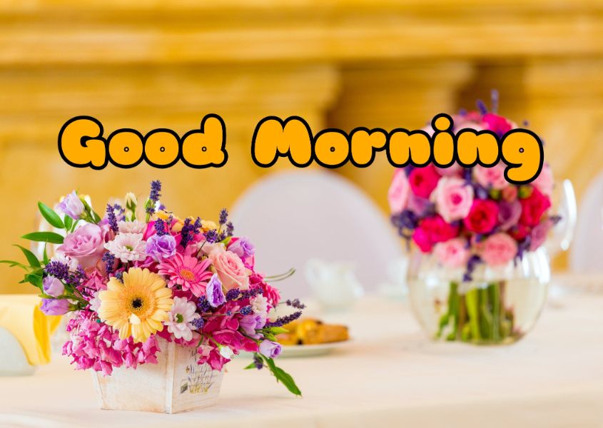 60+ Good Morning Flower Images 2023 2