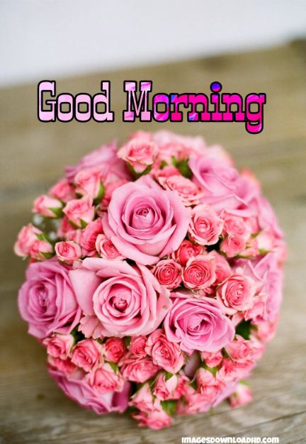 60+ Good Morning Flower Images 2023 48