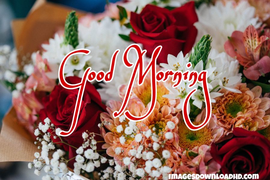 60+ Good Morning Flower Images 2023 49