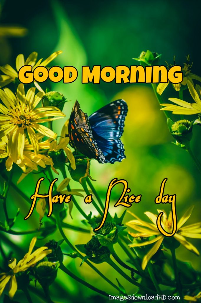 60+ Good Morning Flower Images 2023 3 60+ Good Morning Flower Images 2023 3