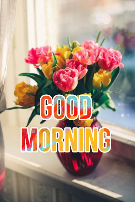 60+ Good Morning Flower Images 2023 8