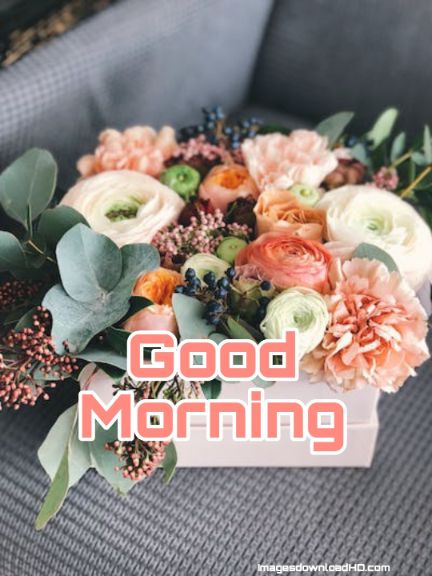 60+ Good Morning Flower Images 2023 13