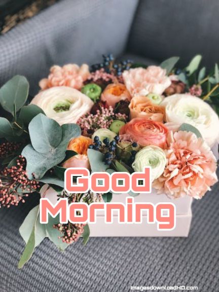 60+ Good Morning Flower Images 2023 13 60+ Good Morning Flower Images 2023 13