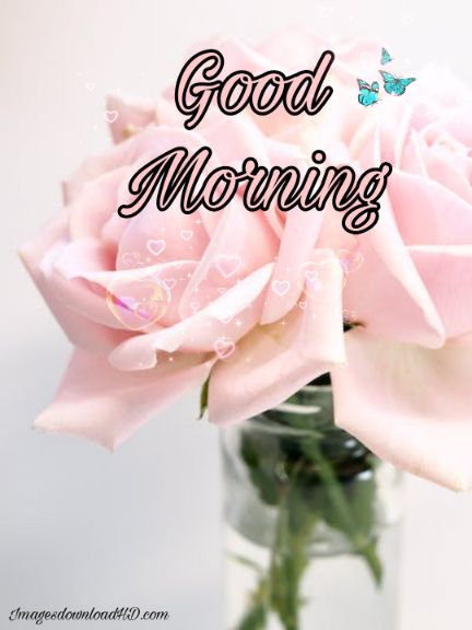 60+ Good Morning Flower Images 2023 54