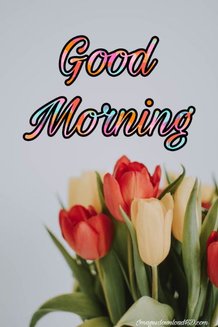 60+ Good Morning Flower Images 2023 12