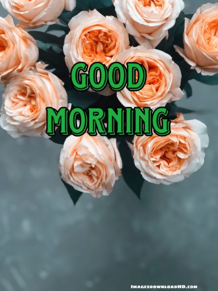 60+ Good Morning Flower Images 2023 56