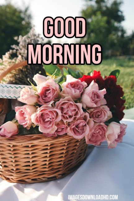 60+ Good Morning Flower Images 2023 57