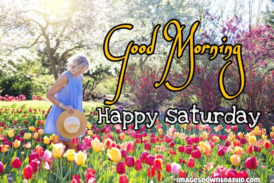 75+ Best Good Morning Saturday Images 2023 1 75+ Best Good Morning Saturday Images 2023 1