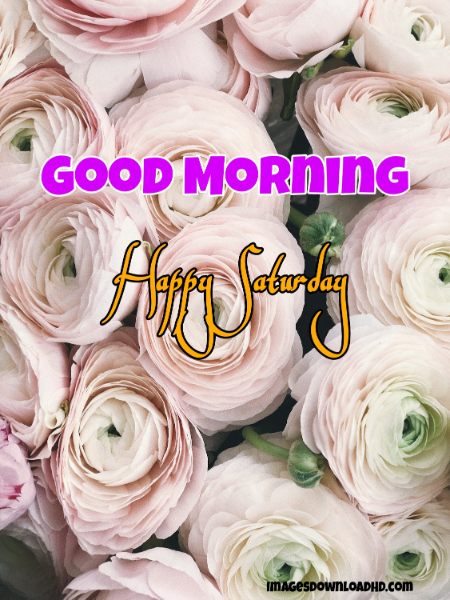 75+ Best Good Morning Saturday Images 2023 9 75+ Best Good Morning Saturday Images 2023 7