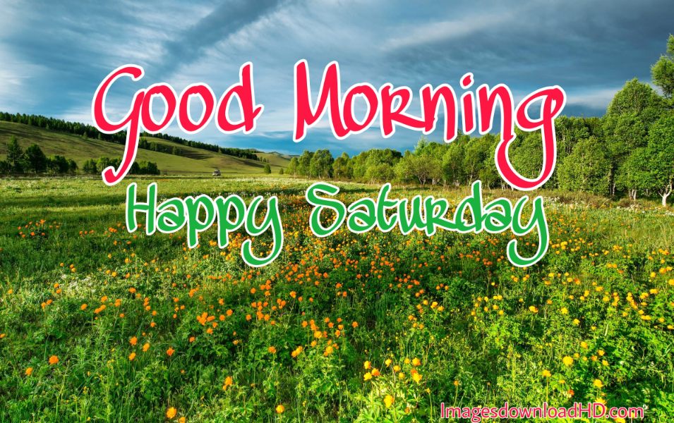 75+ Best Good Morning Saturday Images 2023 8 75+ Best Good Morning Saturday Images 2023 6