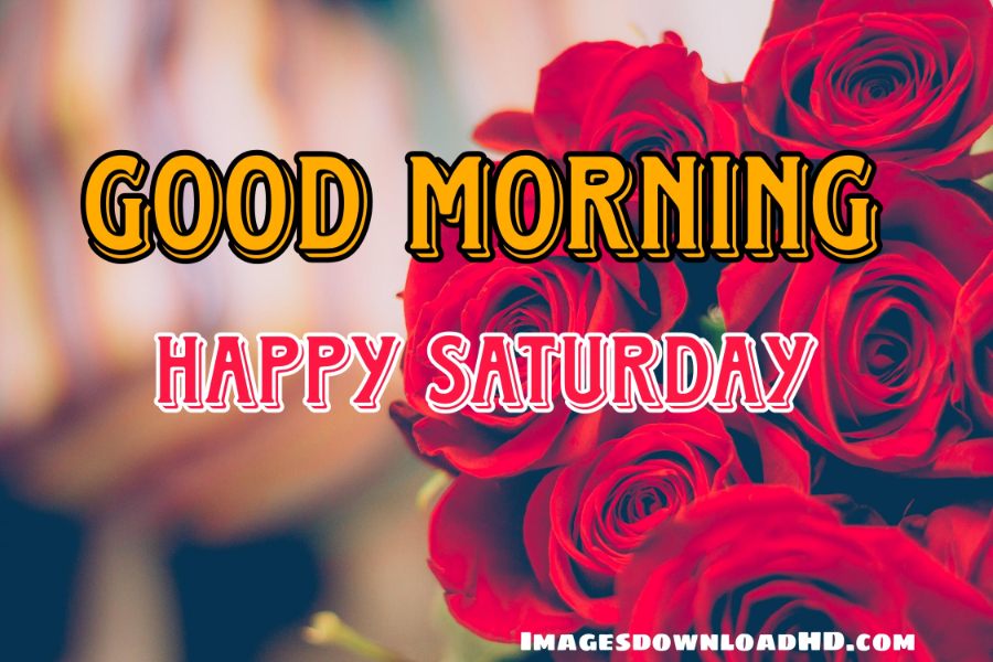 75+ Best Good Morning Saturday Images 2023 13 75+ Best Good Morning Saturday Images 2023 11