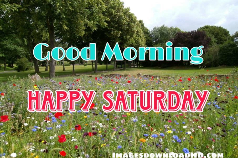 75+ Best Good Morning Saturday Images 2023 14 75+ Best Good Morning Saturday Images 2023 12