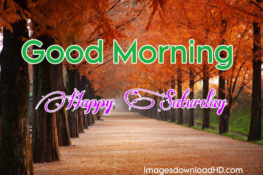 75+ Best Good Morning Saturday Images 2023 16 75+ Best Good Morning Saturday Images 2023 14