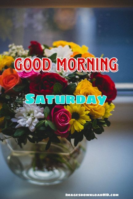 75+ Best Good Morning Saturday Images 2023 17 75+ Best Good Morning Saturday Images 2023 15