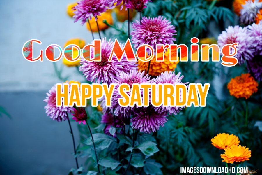75+ Best Good Morning Saturday Images 2023 18 75+ Best Good Morning Saturday Images 2023 16