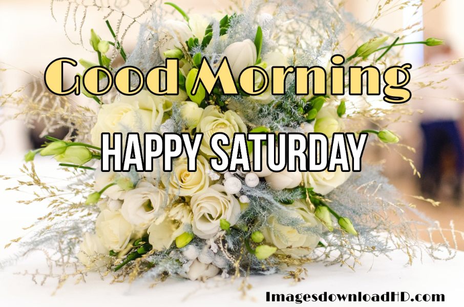 75+ Best Good Morning Saturday Images 2023 19 75+ Best Good Morning Saturday Images 2023 17