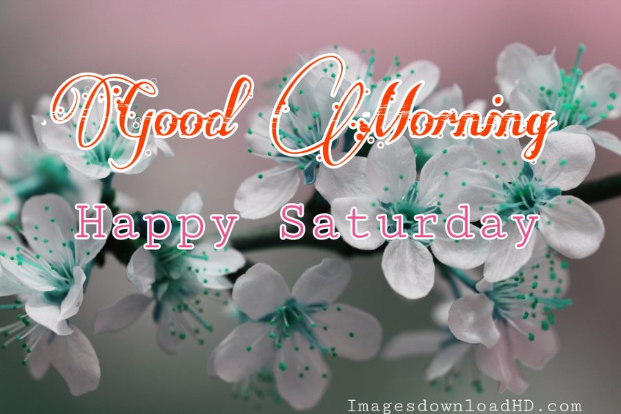 75+ Best Good Morning Saturday Images 2023 20 75+ Best Good Morning Saturday Images 2023 18