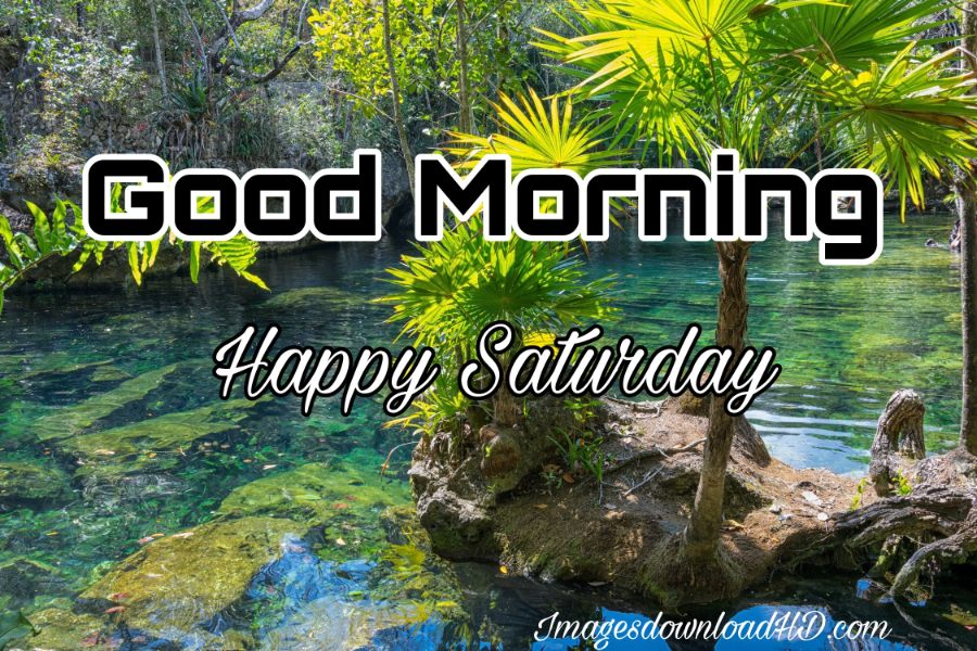 75+ Best Good Morning Saturday Images 2023 22 75+ Best Good Morning Saturday Images 2023 20
