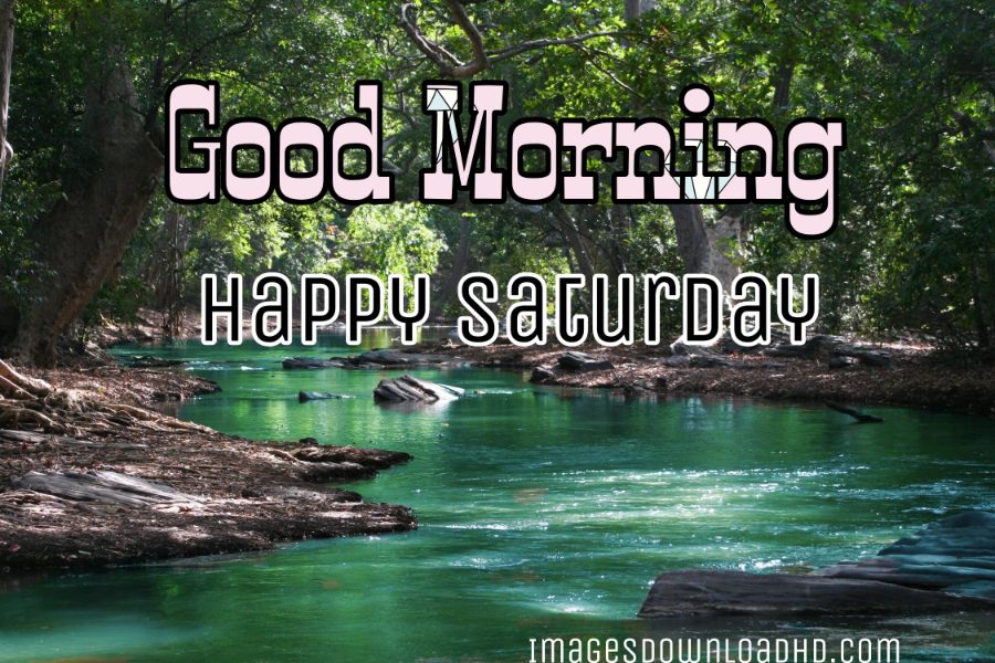 75+ Best Good Morning Saturday Images 2023 34 75+ Best Good Morning Saturday Images 2023 32