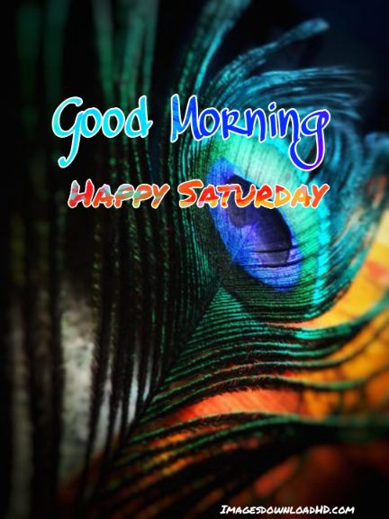 75+ Best Good Morning Saturday Images 2023 37 75+ Best Good Morning Saturday Images 2023 35