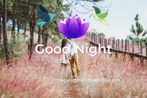 101+ Latest Good Night Kiss Images Pictures Photos 2023 12 101+ Latest Good Night Kiss Images Pictures Photos 2023 11