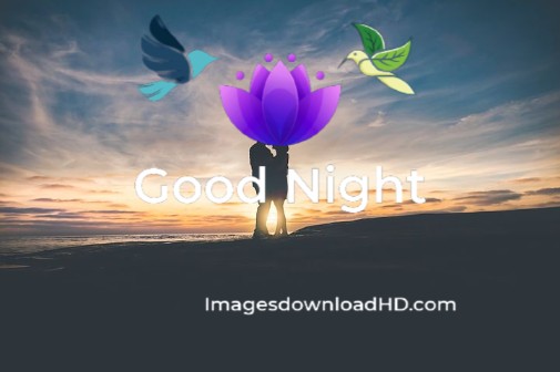 101+ Latest Good Night Kiss Images Pictures Photos 2023 10 101+ Latest Good Night Kiss Images Pictures Photos 2023 9