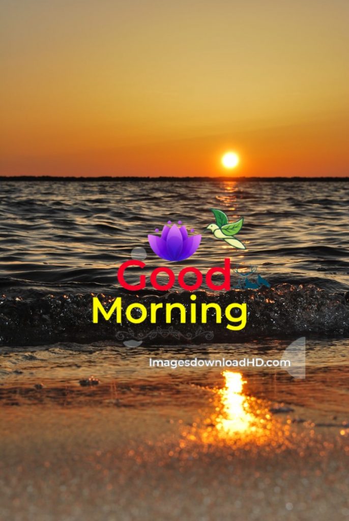144+ Good Morning Nature Images 2023 21 144+ Good Morning Nature Images 2023 21