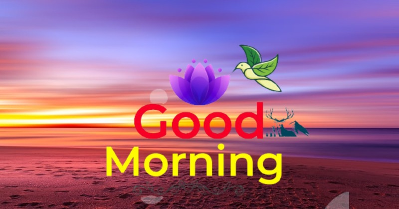 144+ Good Morning Nature Images 2023 52 144+ Good Morning Nature Images 2023 38