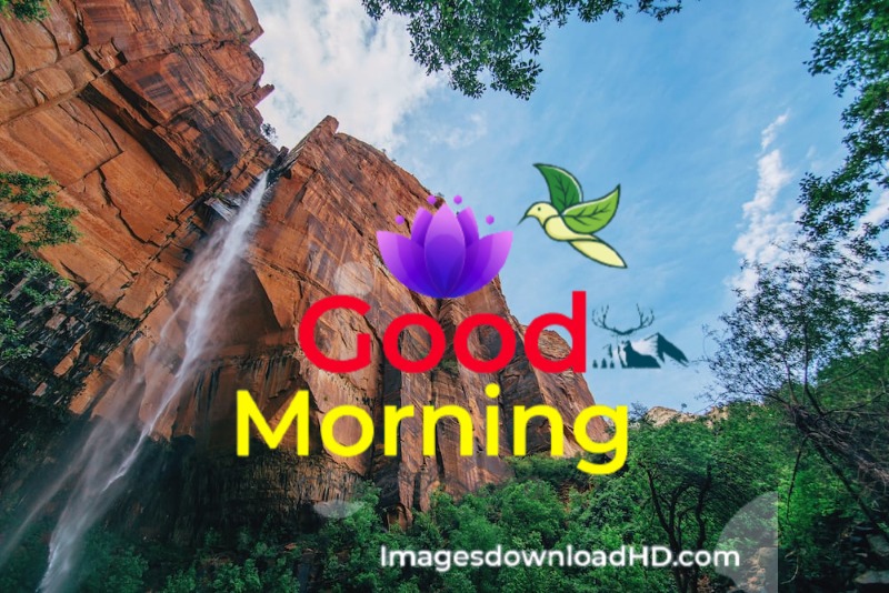144+ Good Morning Nature Images 2023 20