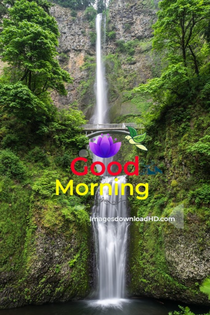 144+ Good Morning Nature Images 2023 18