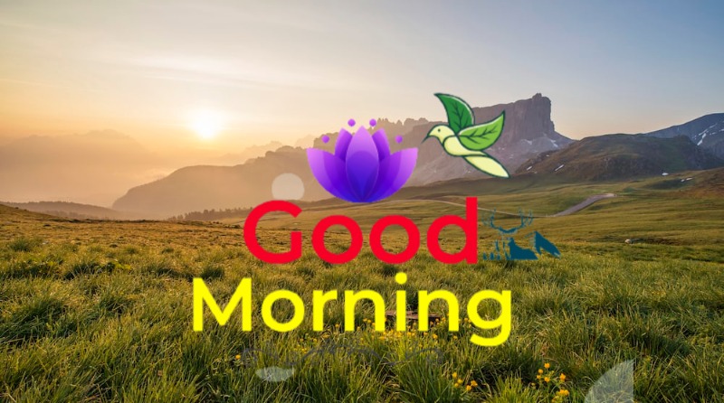 144+ Good Morning Nature Images 2023 55 Good Morning Nature Images