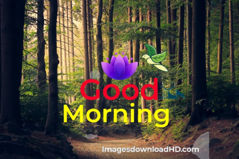144+ Good Morning Nature Images 2023 19