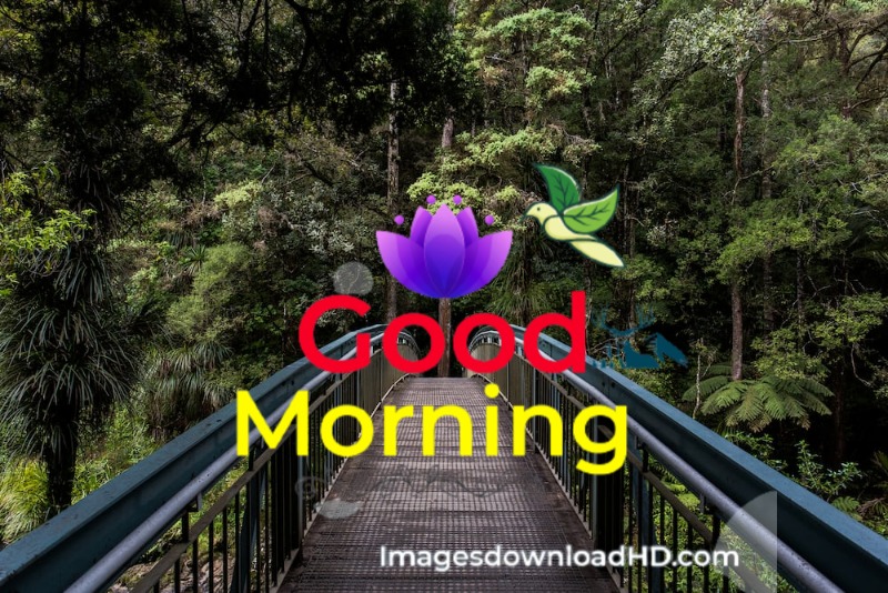 144+ Good Morning Nature Images 2023 14