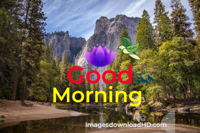 144+ Good Morning Nature Images 2023 71