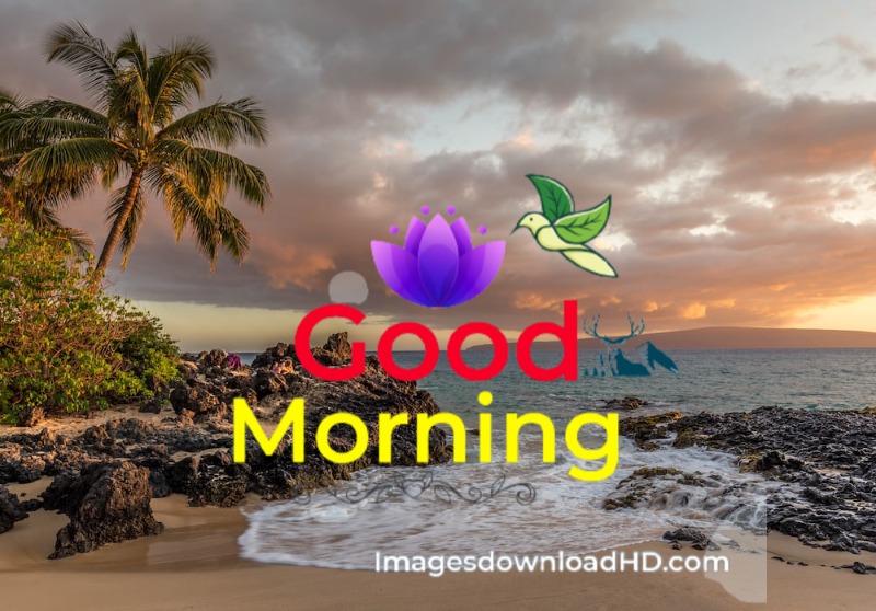 144+ Good Morning Nature Images 2023 69