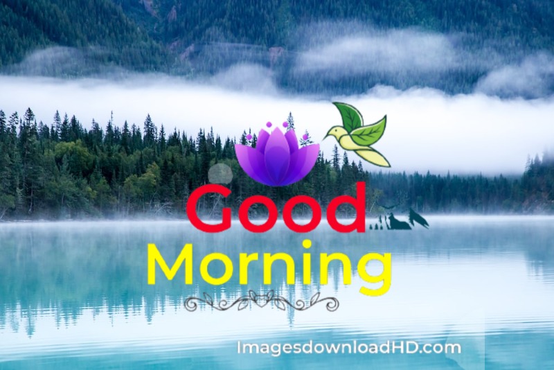 Good Morning Nature Images